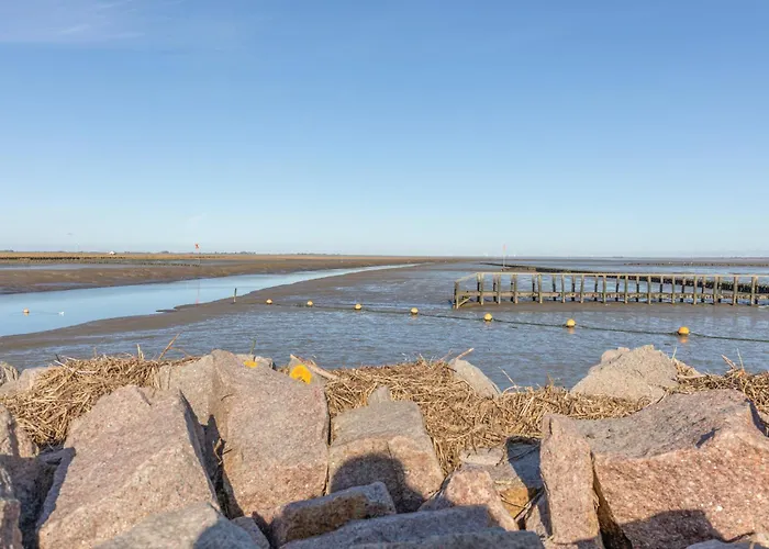度假居 Wattenmeer Simonsberg